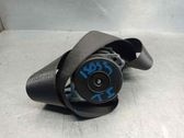 Cinturón trasero