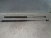 Front bonnet/hood damper/strut
