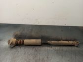 Stoßdämpfer hinten