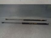 Front bonnet/hood damper/strut