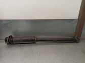 Stoßdämpfer hinten