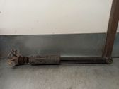 Stoßdämpfer hinten