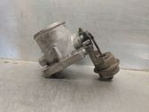 Throttle body valve