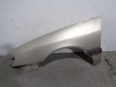 Fender
