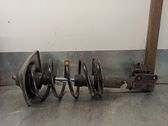 Front shock absorber with coil spring