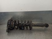 Stoßdämpfer hinten