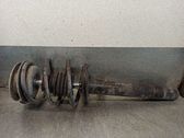 Amortiguador delantero con muelle espiral