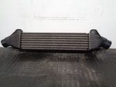 Intercooler radiator