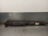 Stoßdämpfer hinten