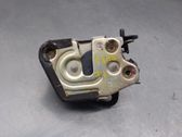 Galinių durų spyna