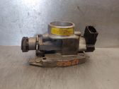 Throttle body valve