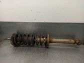 Stoßdämpfer hinten