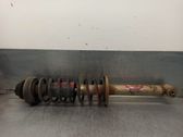 Stoßdämpfer hinten