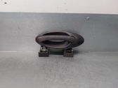 Manecilla externa puerta delantera