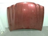 Engine bonnet/hood