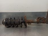 Front shock absorber with coil spring