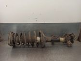 Stoßdämpfer hinten
