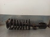 Front shock absorber with coil spring
