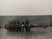 Amortiguador delantero con muelle espiral