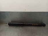 Stoßdämpfer hinten