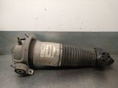 Stoßdämpfer hinten