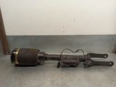 Amortiguador delantero con muelle espiral