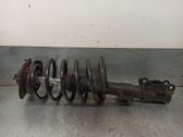 Front shock absorber with coil spring