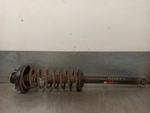 Rear shock absorber/damper