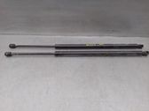 Tailgate/trunk strut/damper