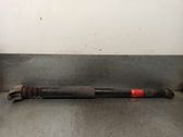 Rear shock absorber/damper