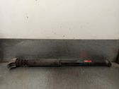 Rear shock absorber/damper