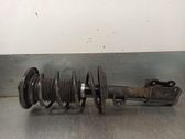 Front shock absorber with coil spring