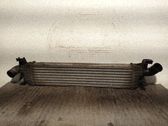 Radiador intercooler