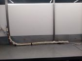 Airbag de la puerta delantera