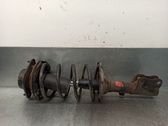Front shock absorber with coil spring