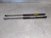Tailgate/trunk strut/damper