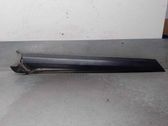 Dashboard trim