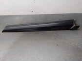 Dashboard trim