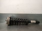 Amortiguador delantero con muelle espiral