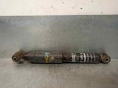 Rear shock absorber/damper