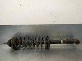 Stoßdämpfer hinten