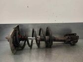Front shock absorber with coil spring