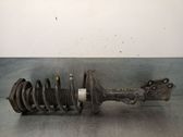 Stoßdämpfer hinten