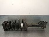 Stoßdämpfer hinten