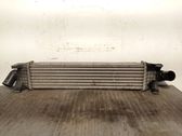 Radiador intercooler
