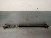 Querlenker hinten
