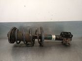 Front shock absorber with coil spring