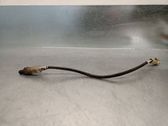 Lambda probe sensor
