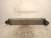 Intercooler radiator