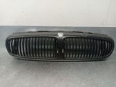 Front grill